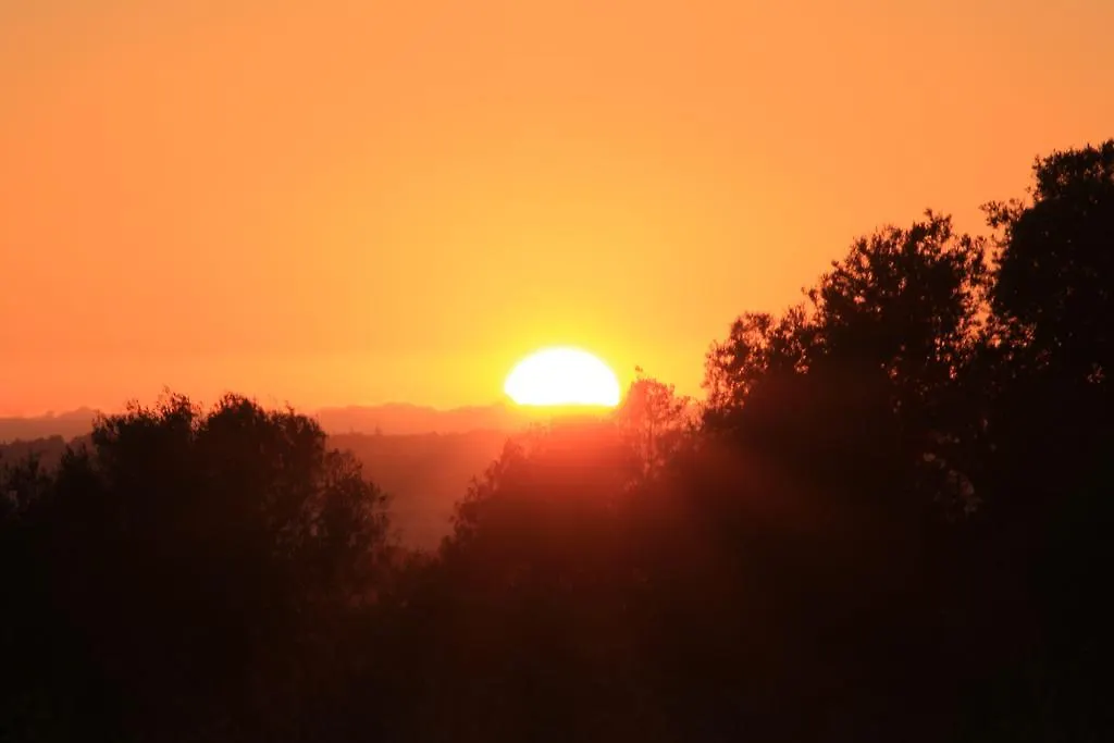 Sunshine Hotell Albufeira Portugal