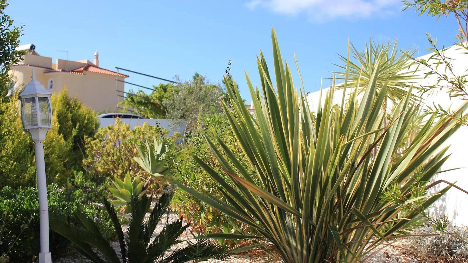 Pensionat Sunshine Hotell Albufeira